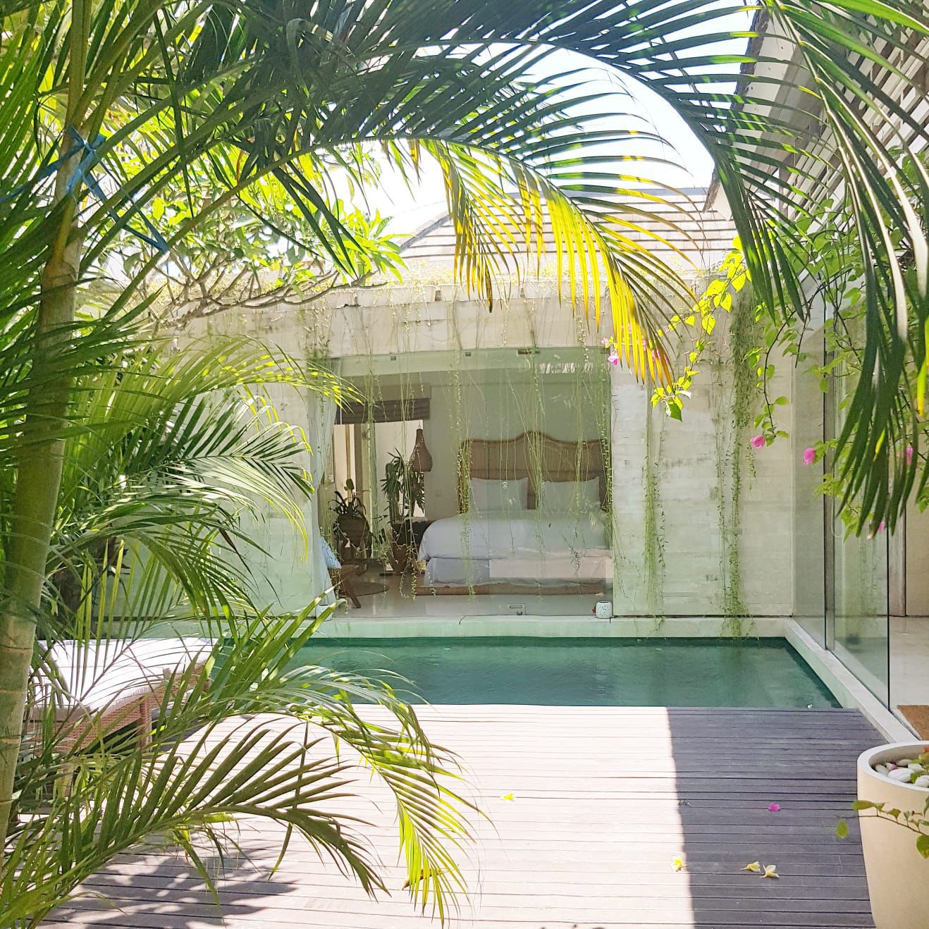 WhatsApp Image 2026-02-13 at 11.32.43 AM